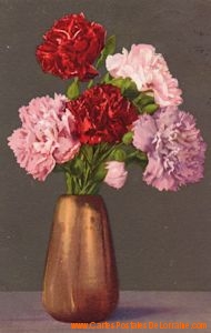 19150515 fleur.jpg